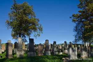  - Ichenhausen Jüdischer Friedhof