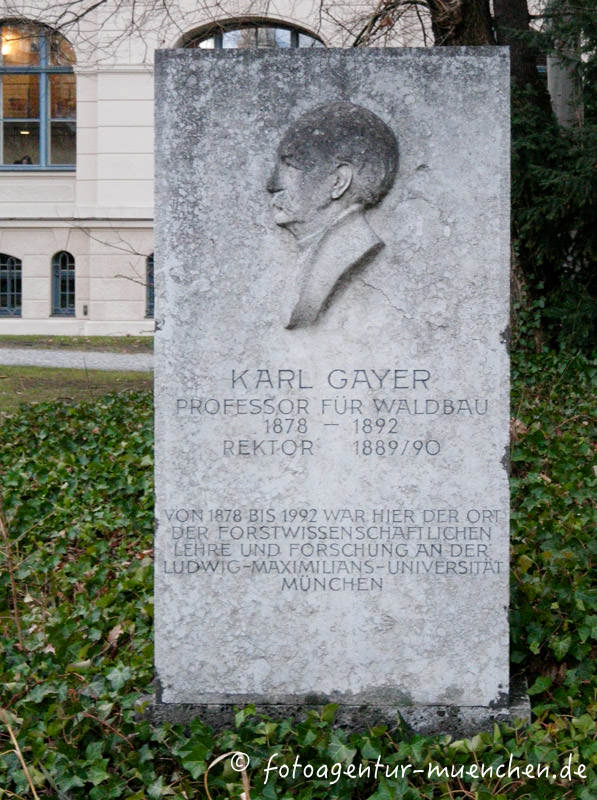 Gedenktafel - Karl Gayer