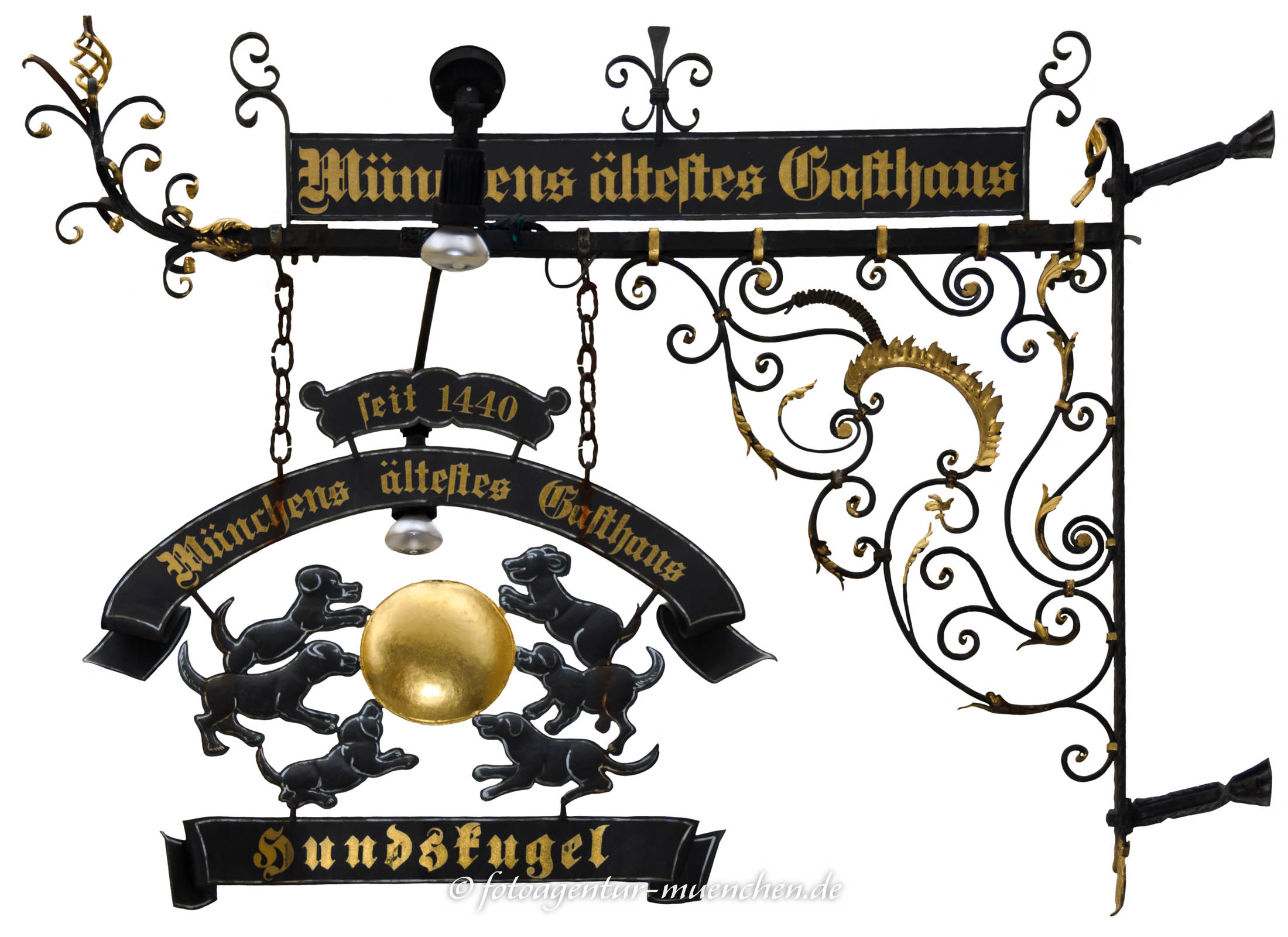 Nasenschild Hundskugel