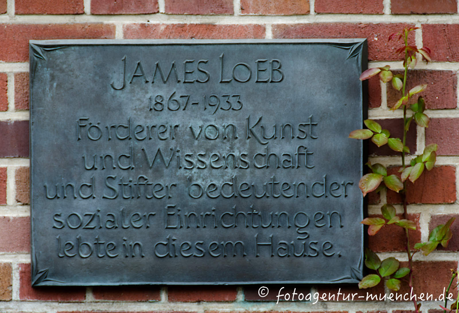 Gedenktafel für James Loeb