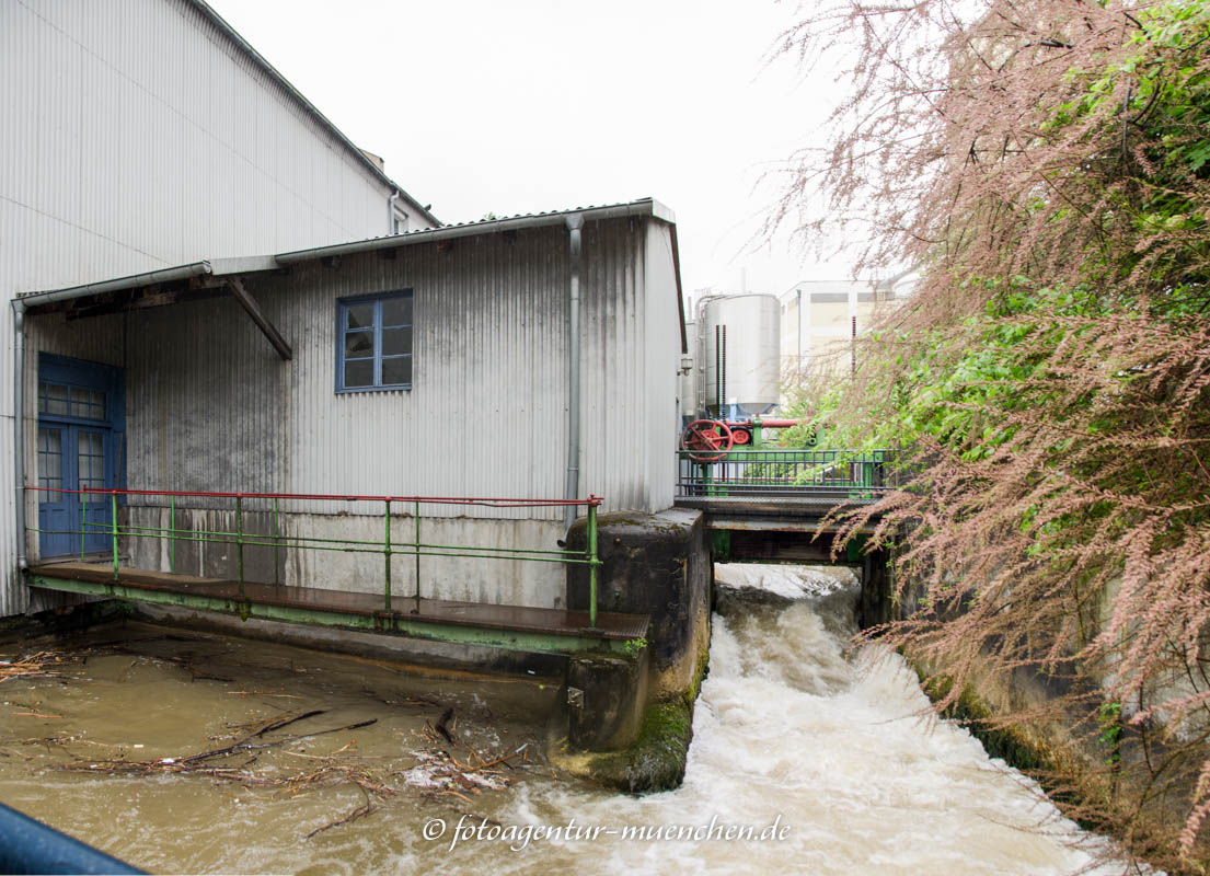 Eiswerk am Auer Mühlbach