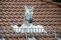 Gerhard Willhalm - Zebra in der Frauenhoferrstraße