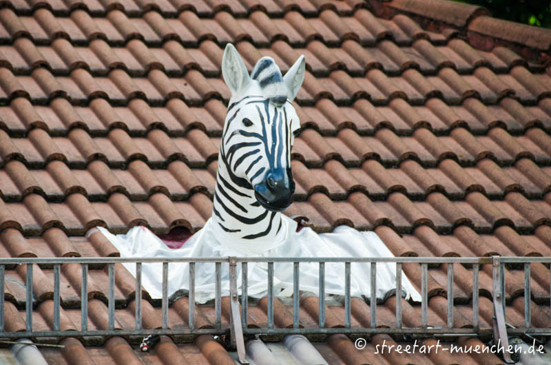 Zebra in der Frauenhoferrstraße