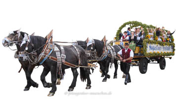  - Bierwagen - Augustiner