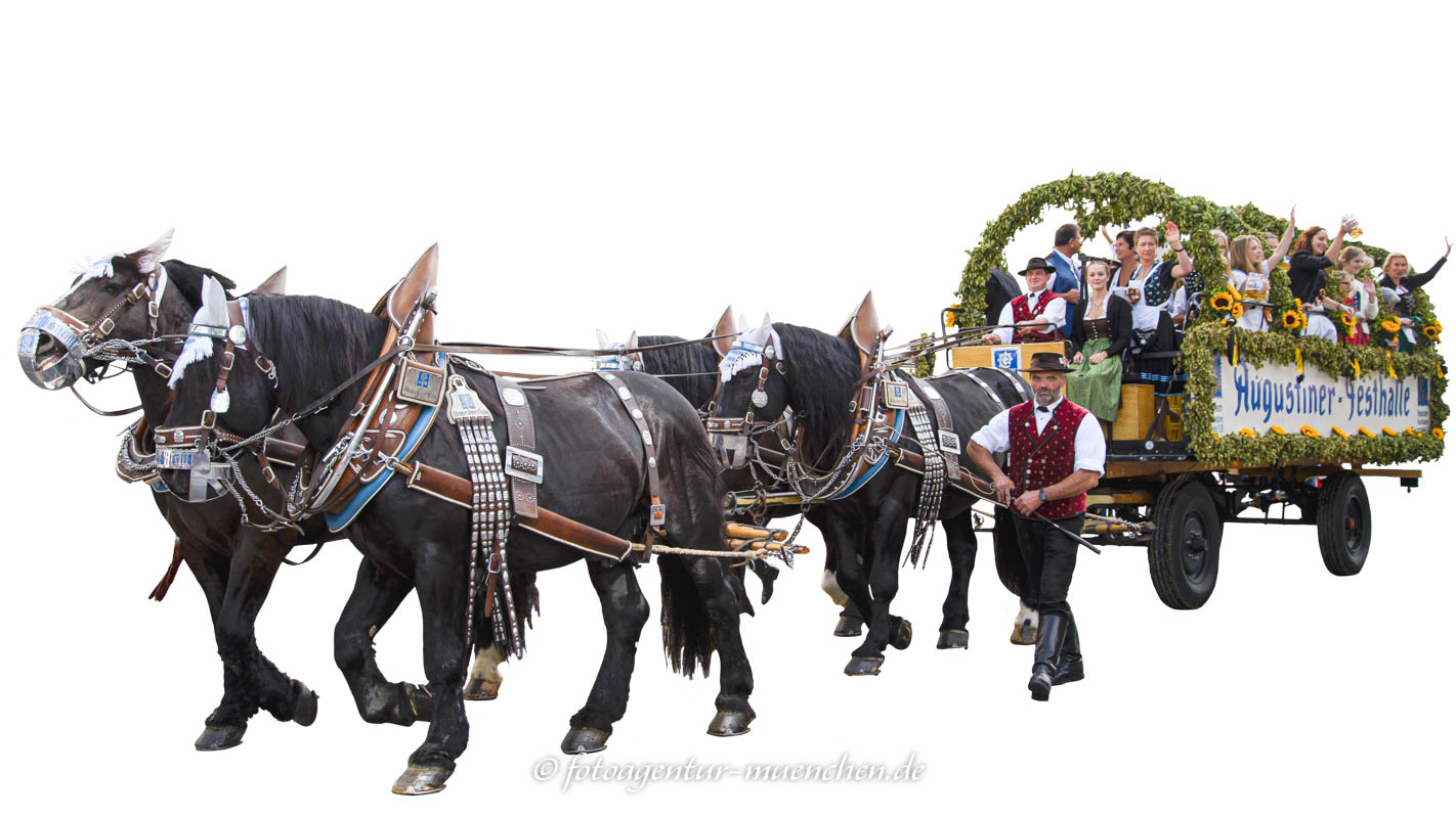 Festwagen - Augustiner