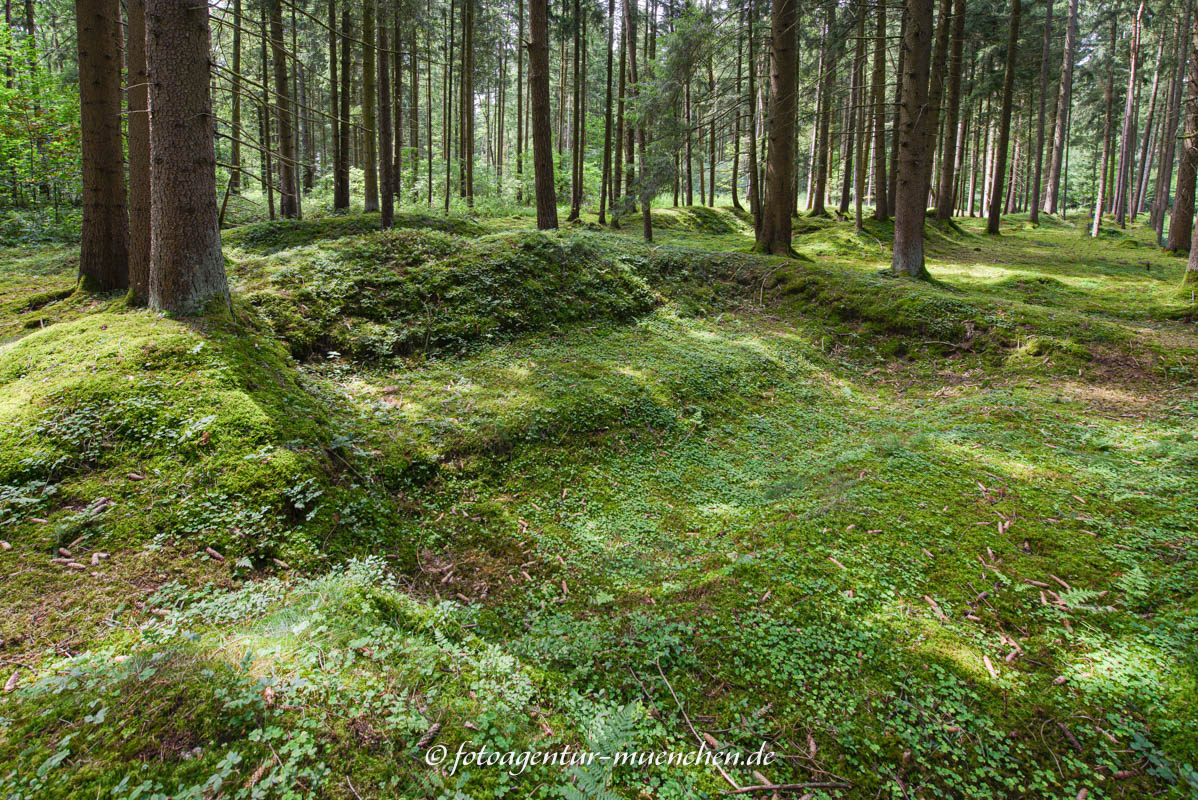Waldlager - Mühldorfer Hart