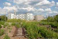  - Baumkirchen Mitte - Ökologische Ausgleichsfläche