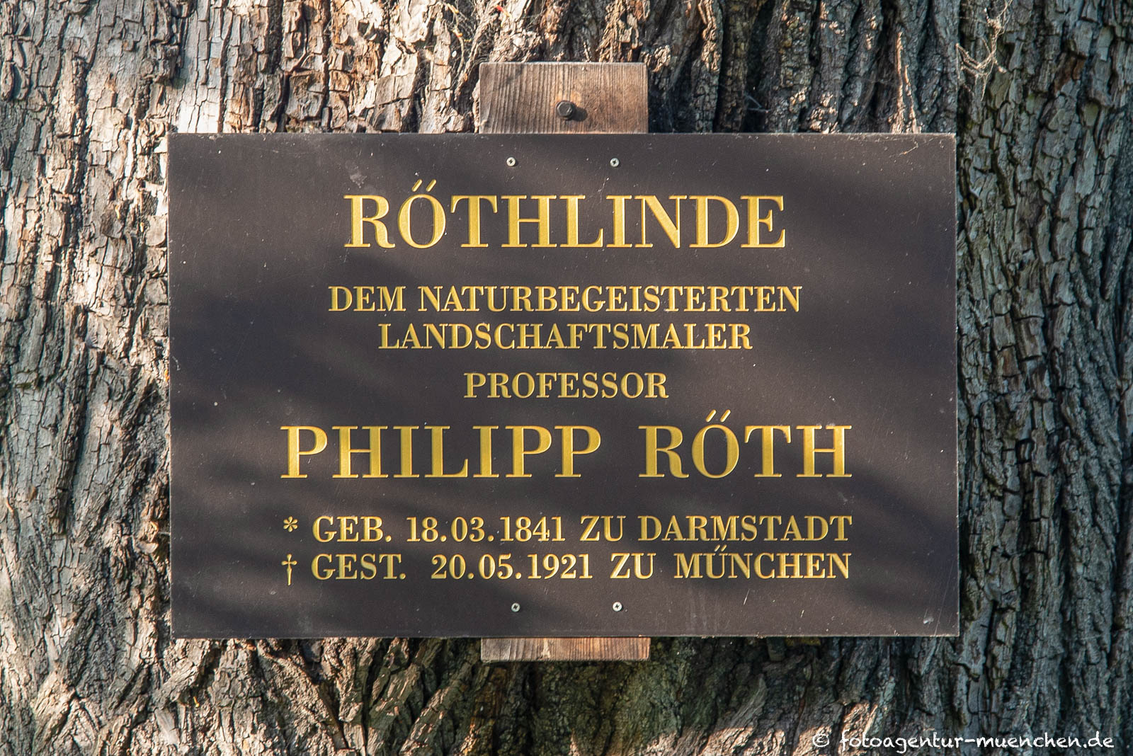 Philipp Röth - Röthlinde