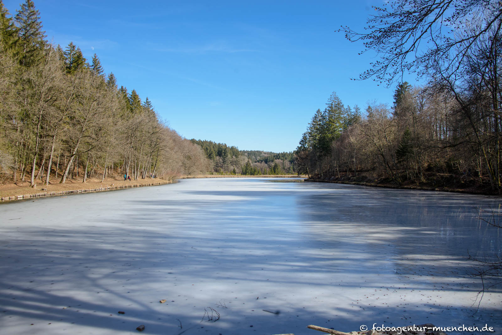 Thanninger Weiher