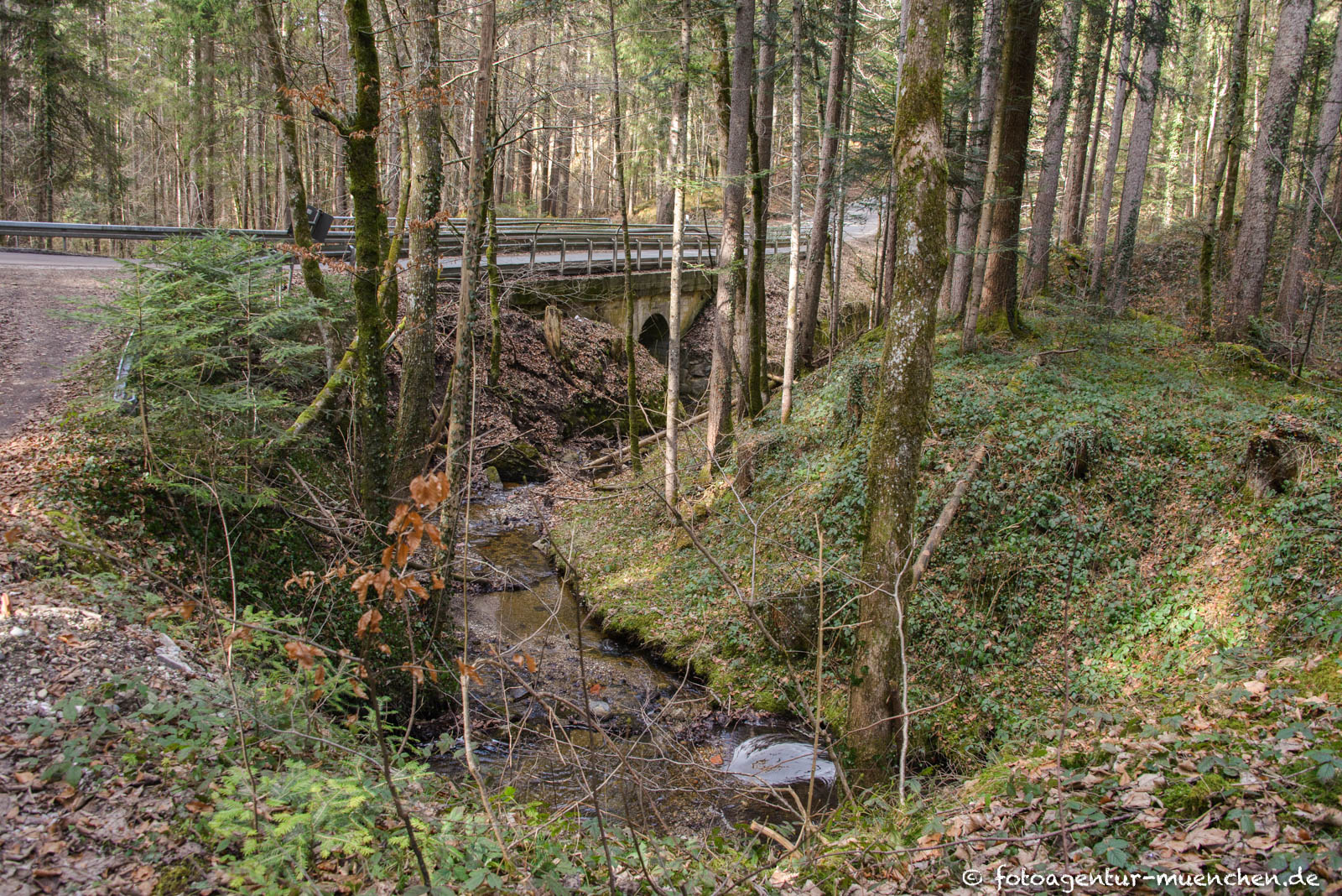 Zwieselbrücke