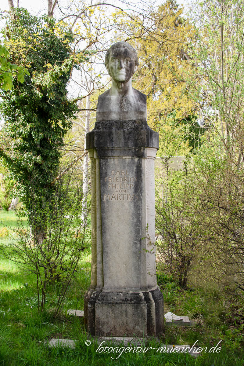 Denkmal - Carl Philipp Friedrich von Martius