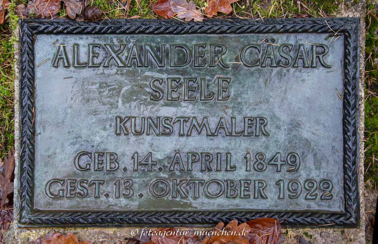 Seele Alexander