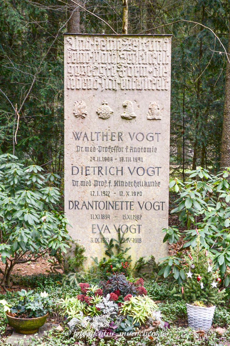 Vogt Walter