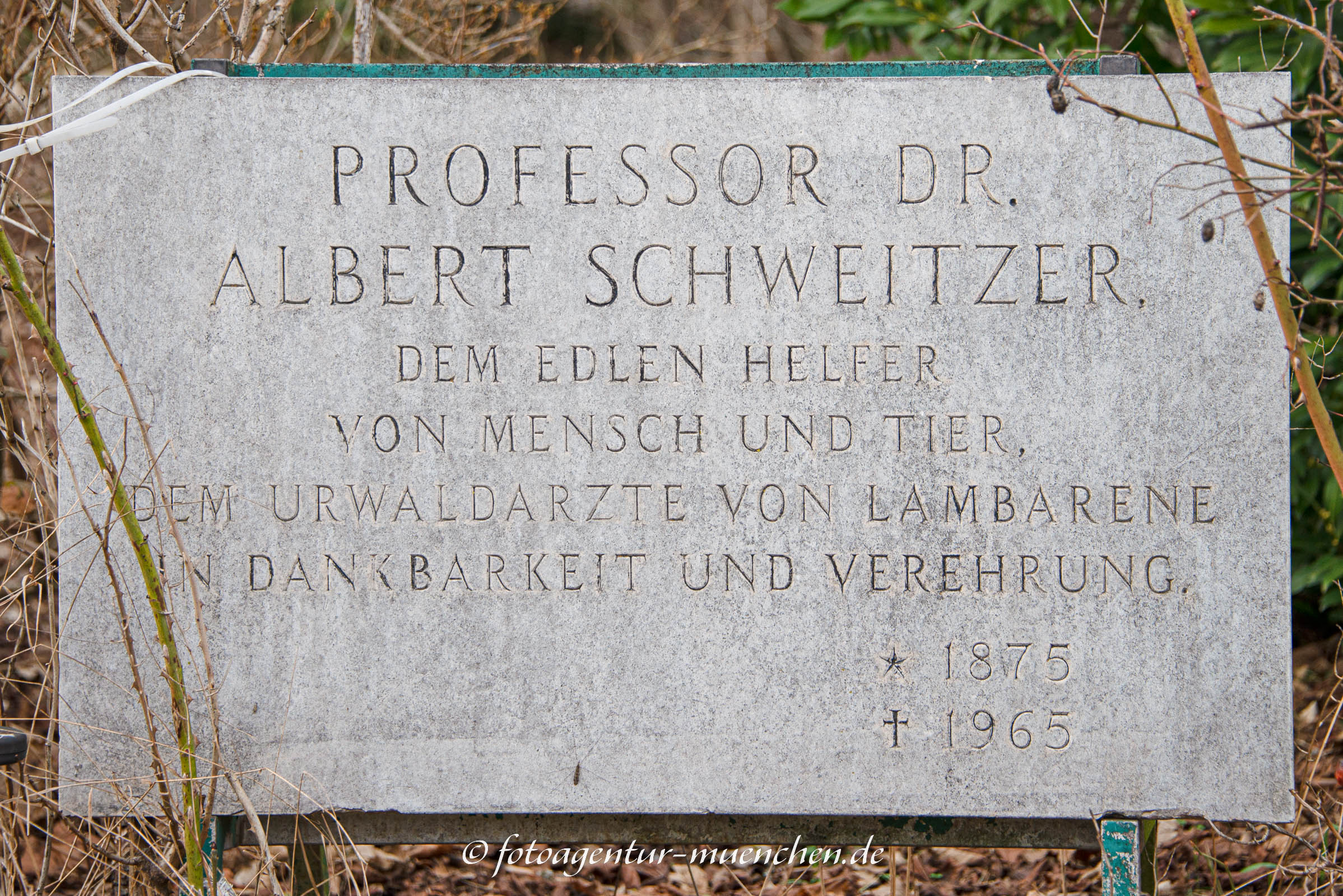 Gedenktafel - Albert Schweizer