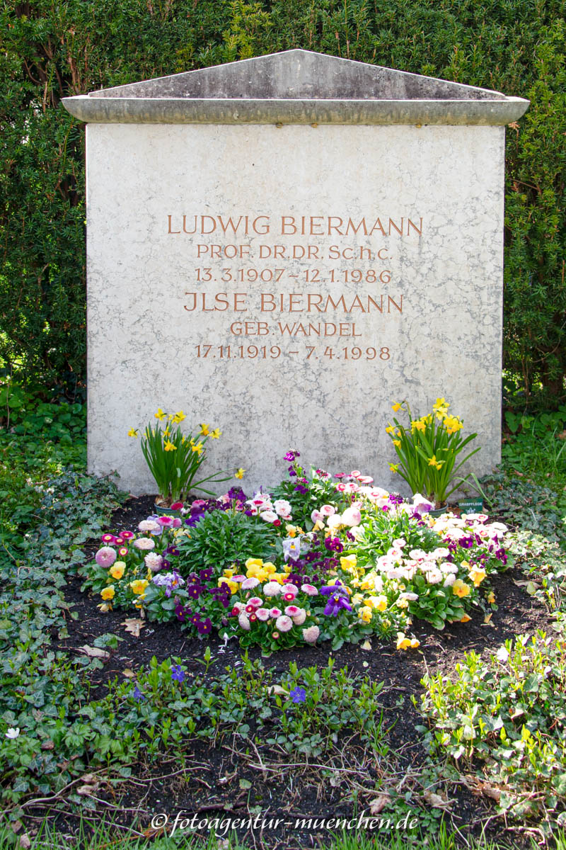 Biermann Ludwig