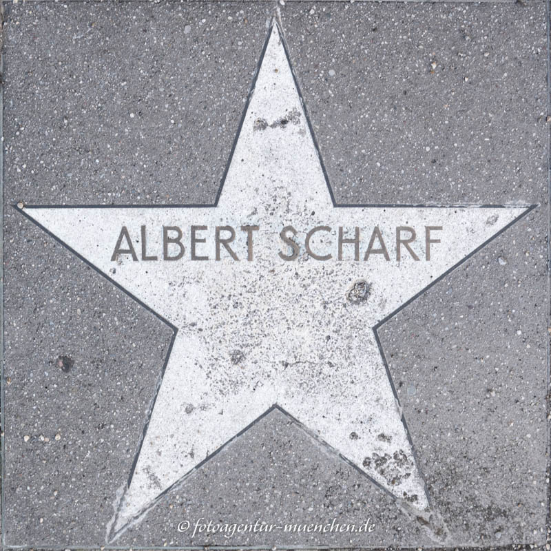 Stern - Albert Scharf