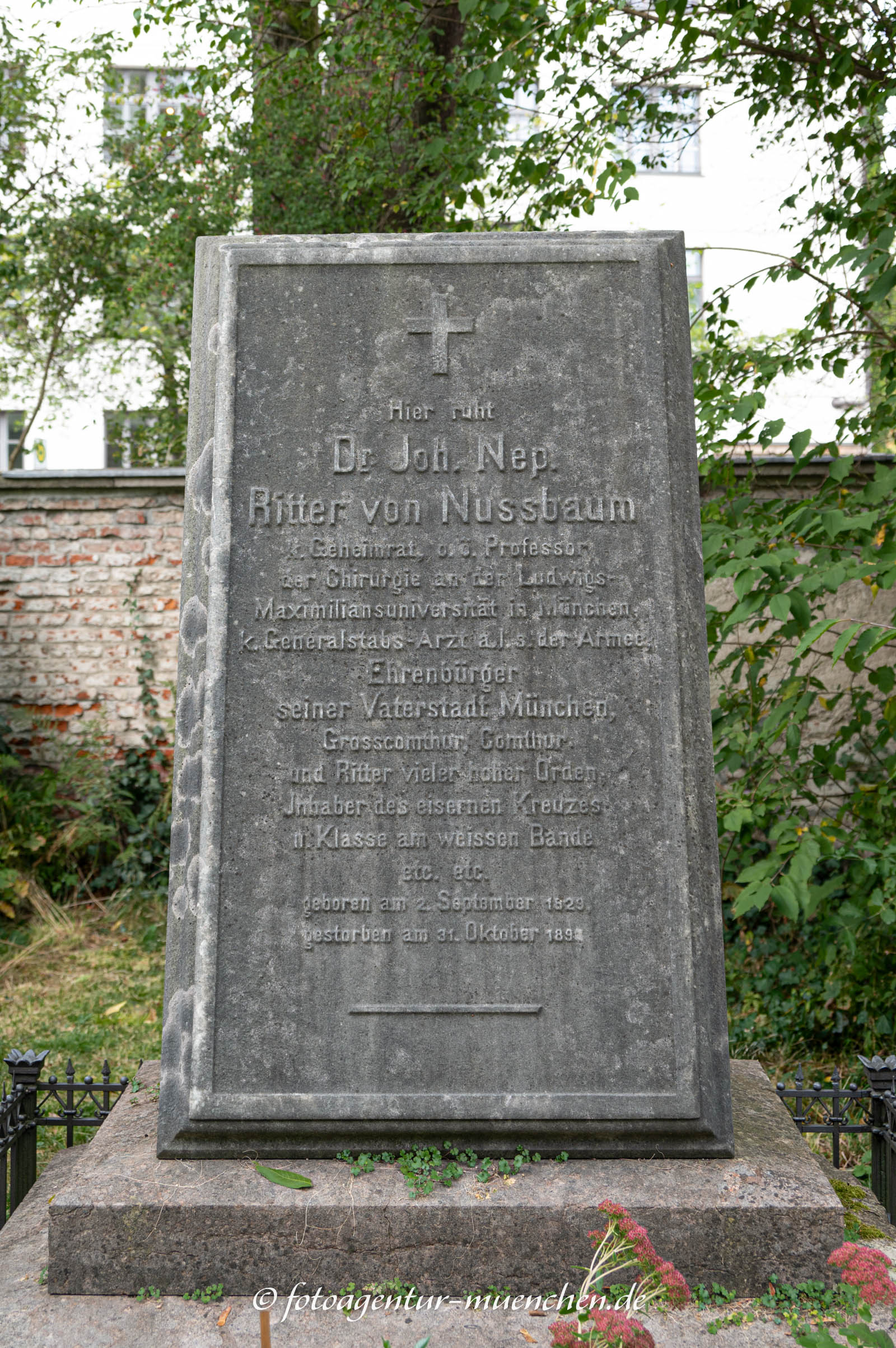 Grab - Johann Nepomuk von Nußbaum