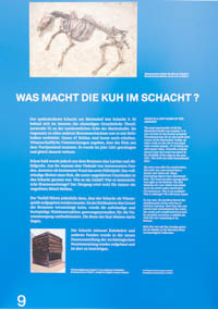 Archäologie München - Tafel 9
