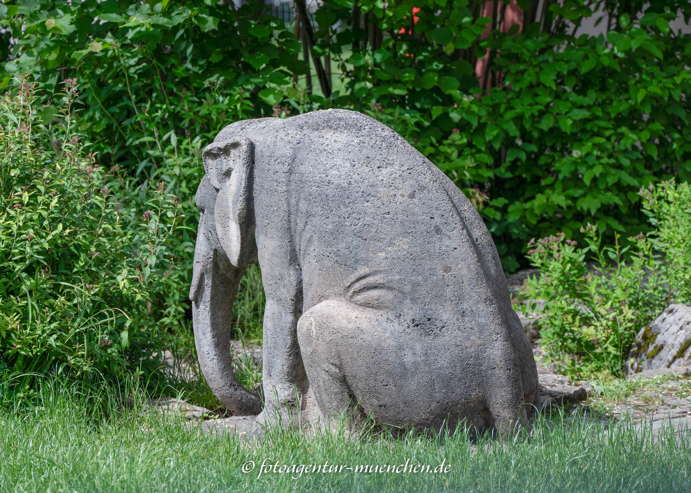 Sitzender Elefant