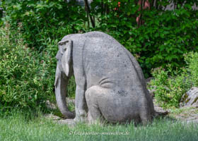  - Sitzender Elefant