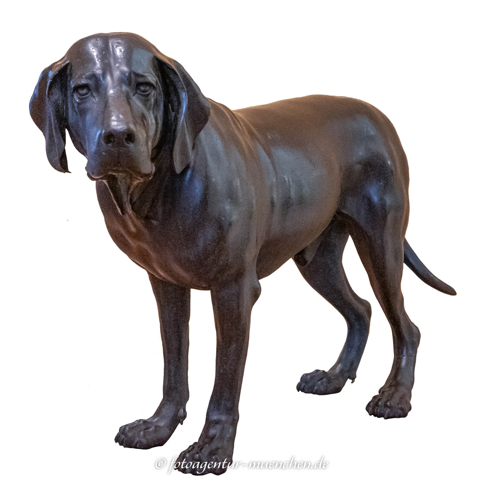 Jagdhund