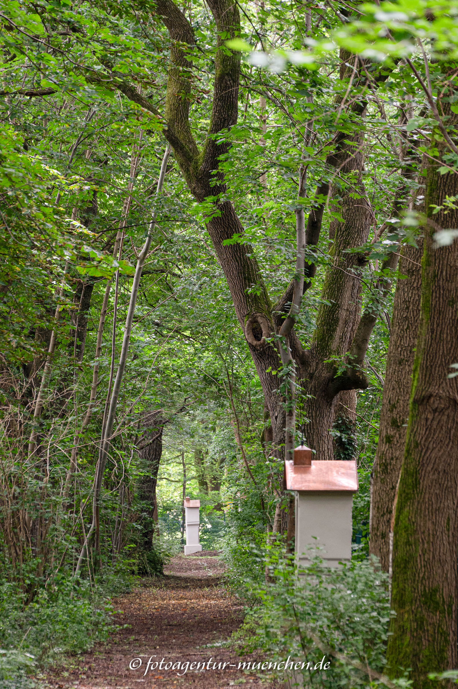 Kreuzweg - Berg am Laim