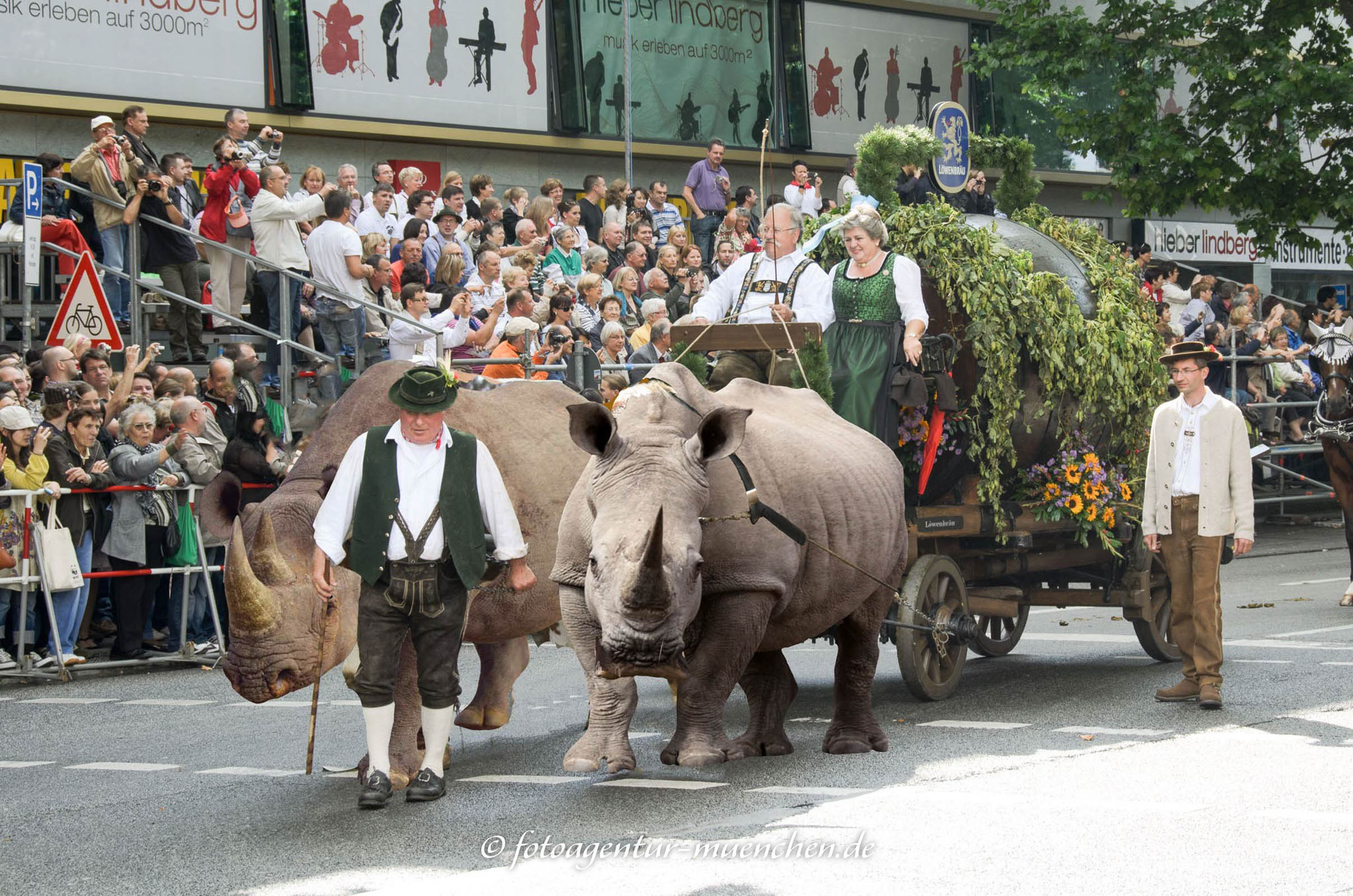 Wirteeinzug - Nashorn