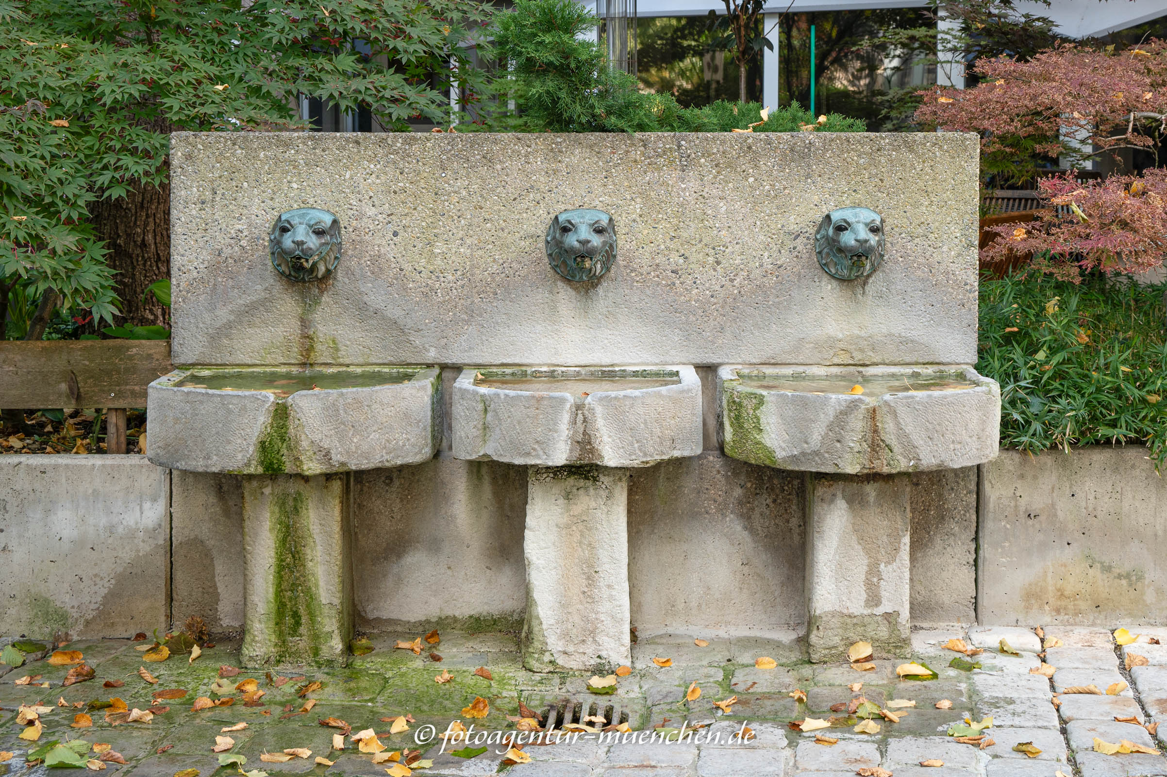 Löwenbrunnen