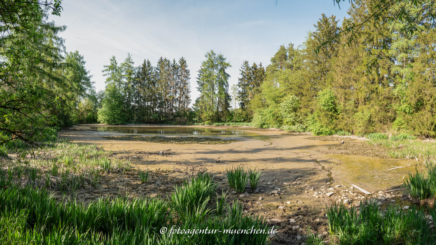 Biersee