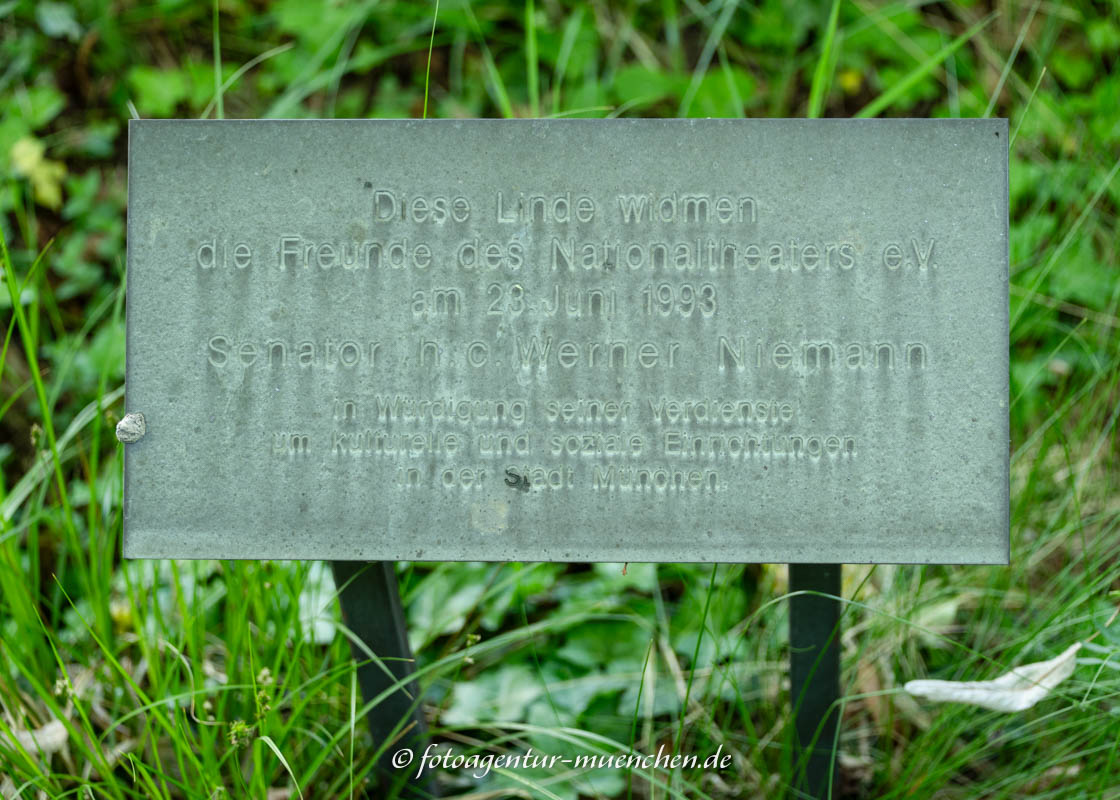 Gedenktafel - Kulturlinden