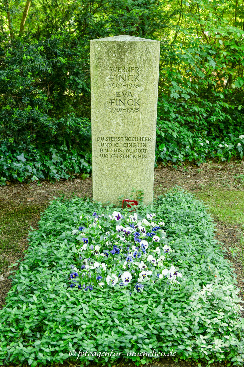 Fink Werner