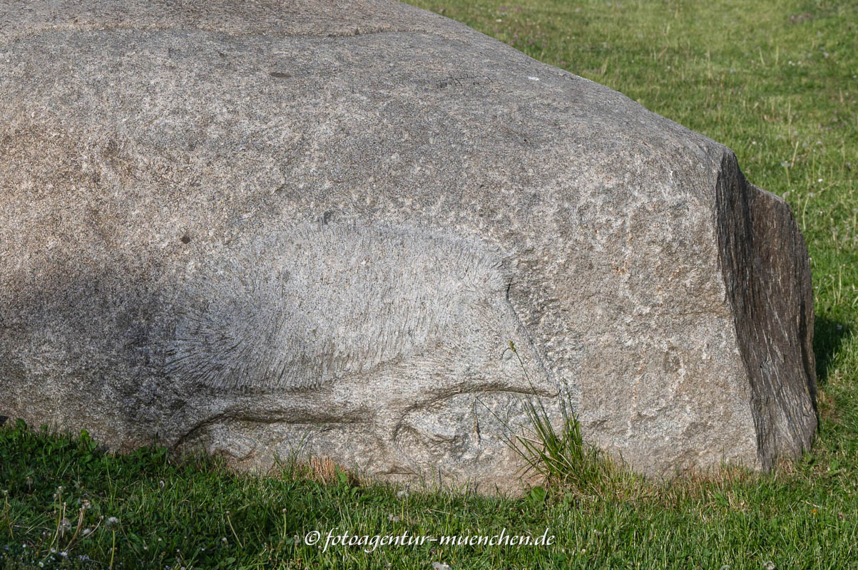 Hase und Igel