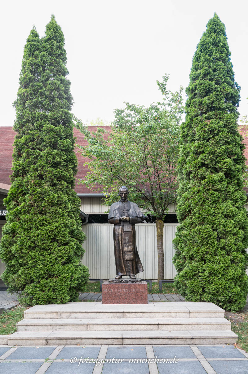Statue - Blaženi Alojzije Stepinac