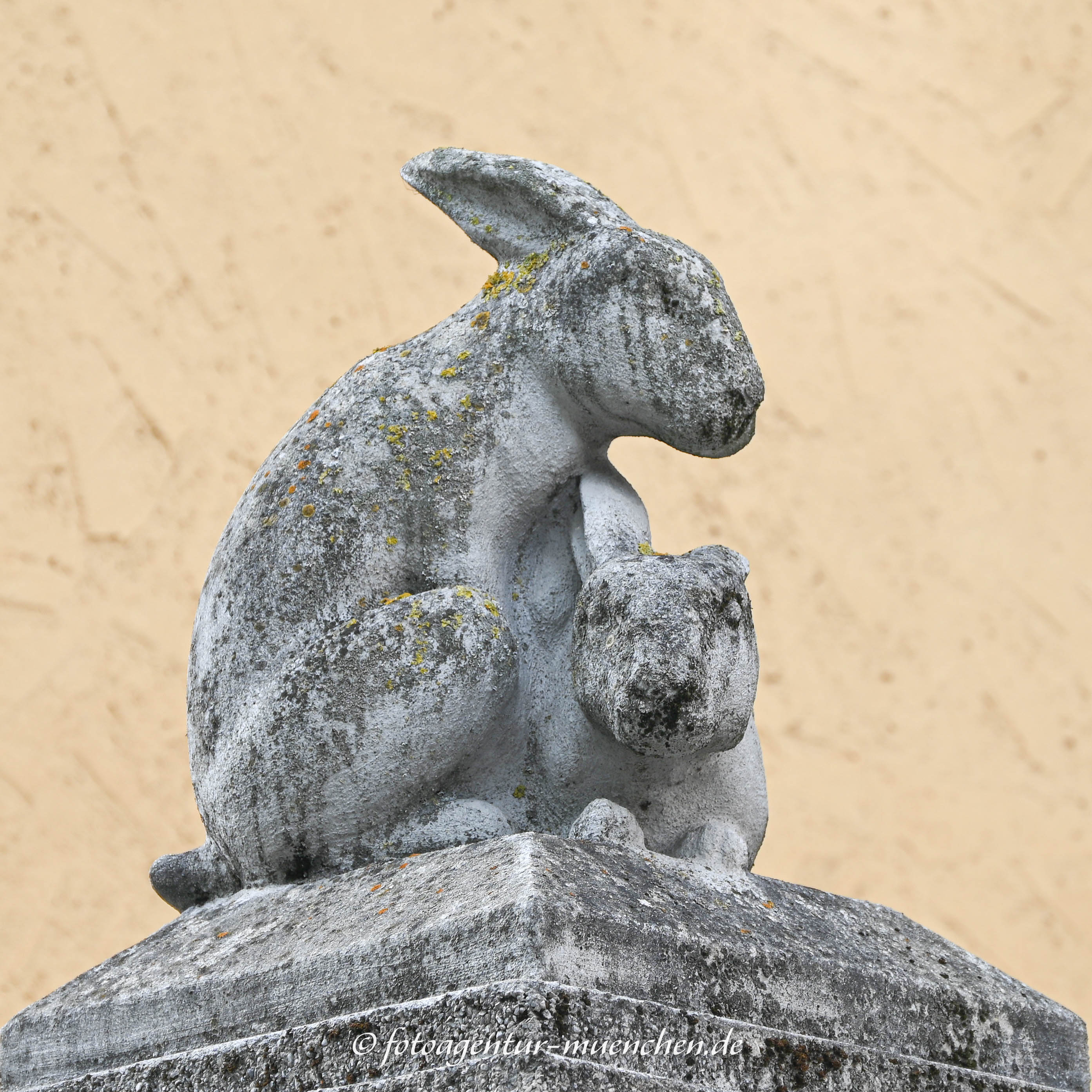 Hasen und Affen