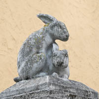  - Hasen und Affen