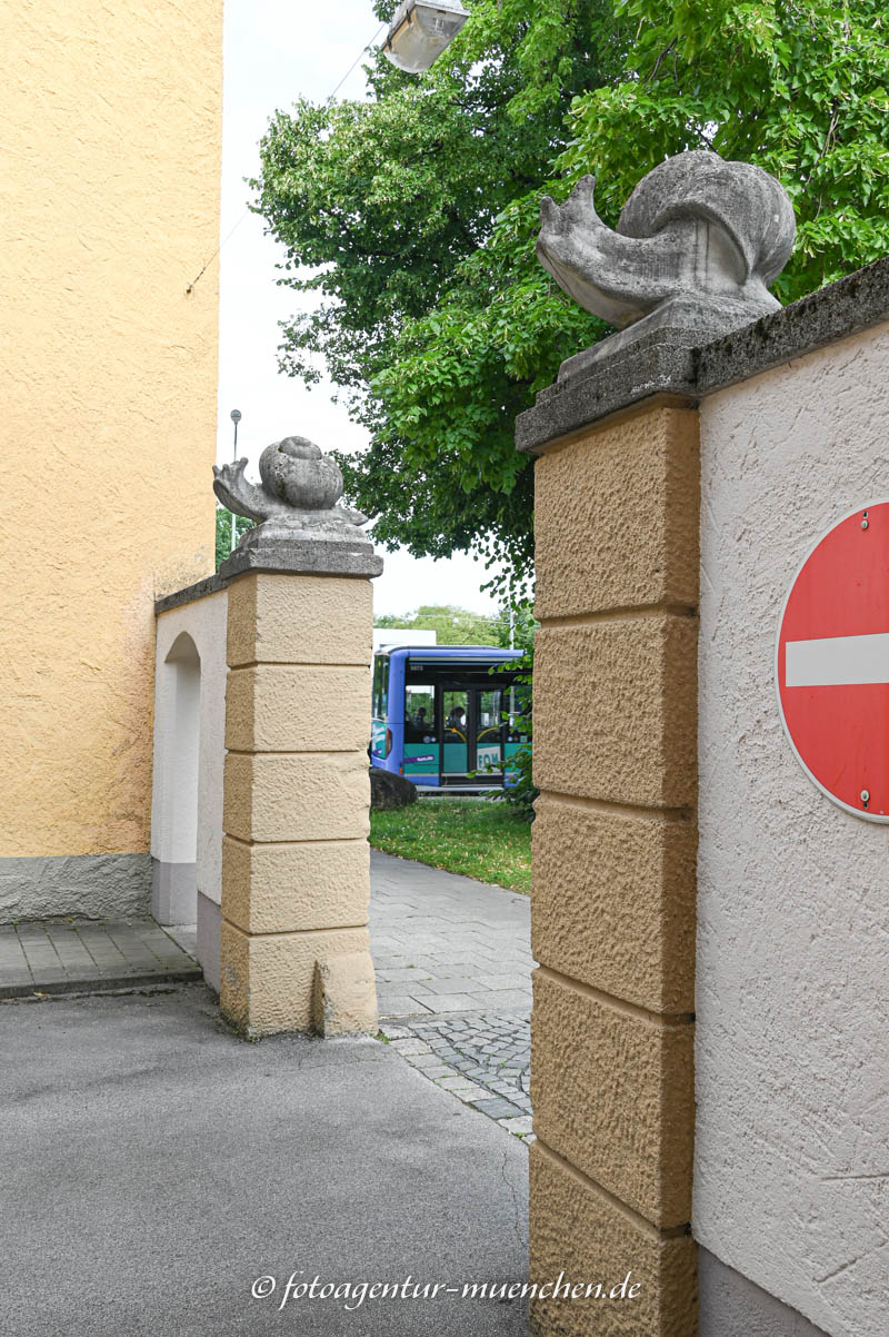 Zwei große Schnecken Schnecke