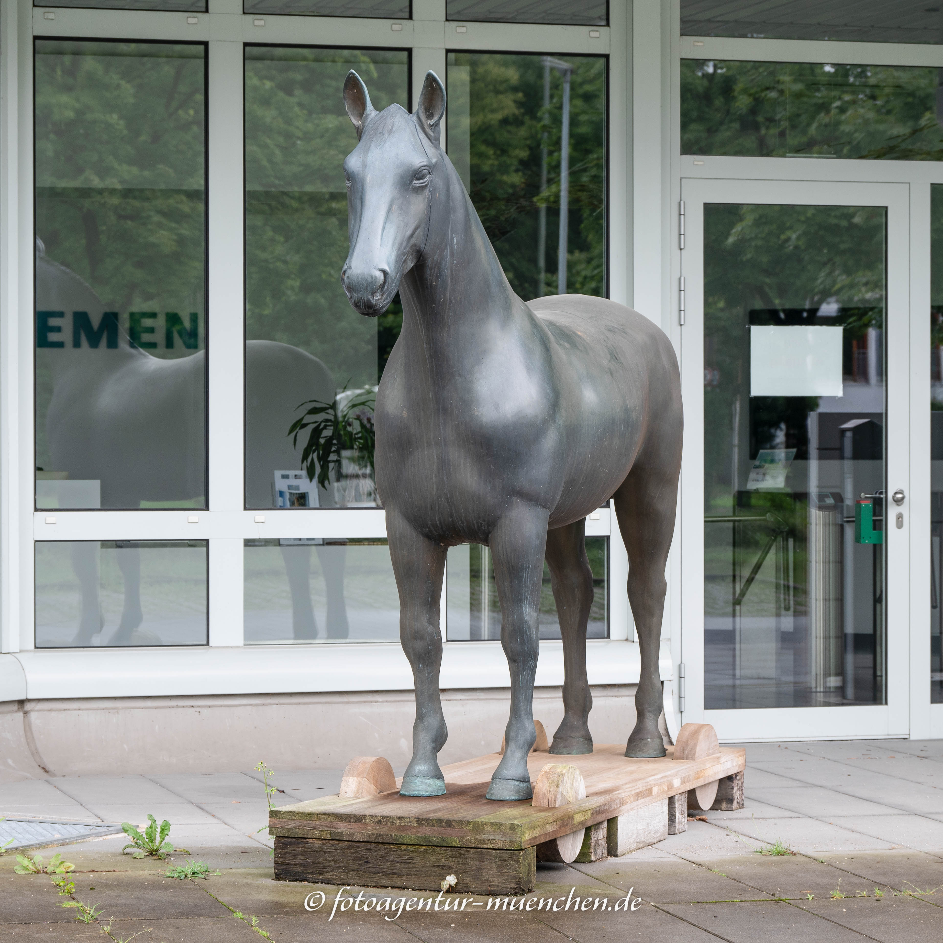 Das Pferd