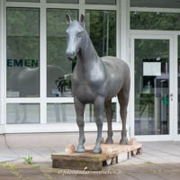 Rademacher Norbert - Das Pferd