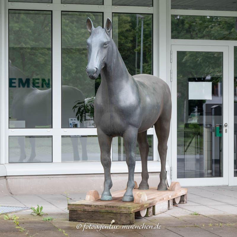 Das Pferd