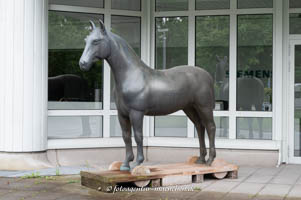 Rademacher Norbert - Das Pferd
