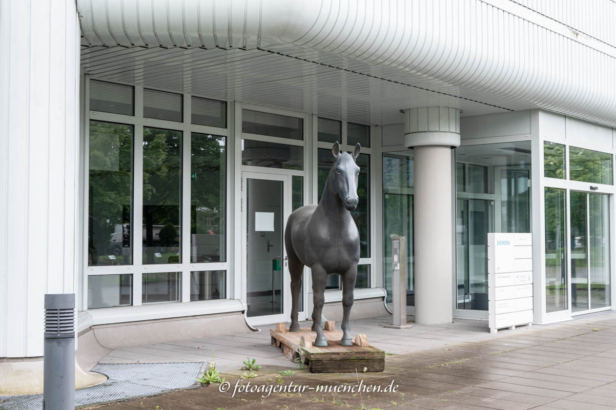 Das Pferd