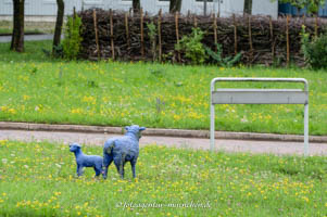  - Blaue Schafe