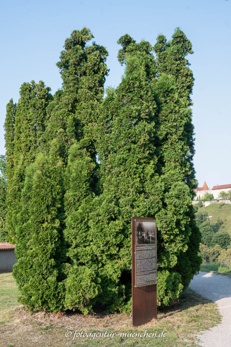 KZ-Friedhof Burghausen