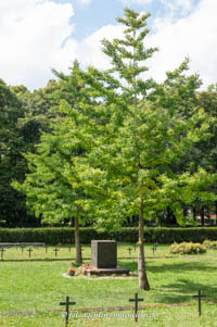  - Denkmal - Gefallene und Luftkriegsopfer