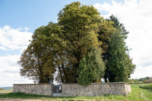  - KZ-Grabstätten auf dem Jüdischen Friedhof Cham