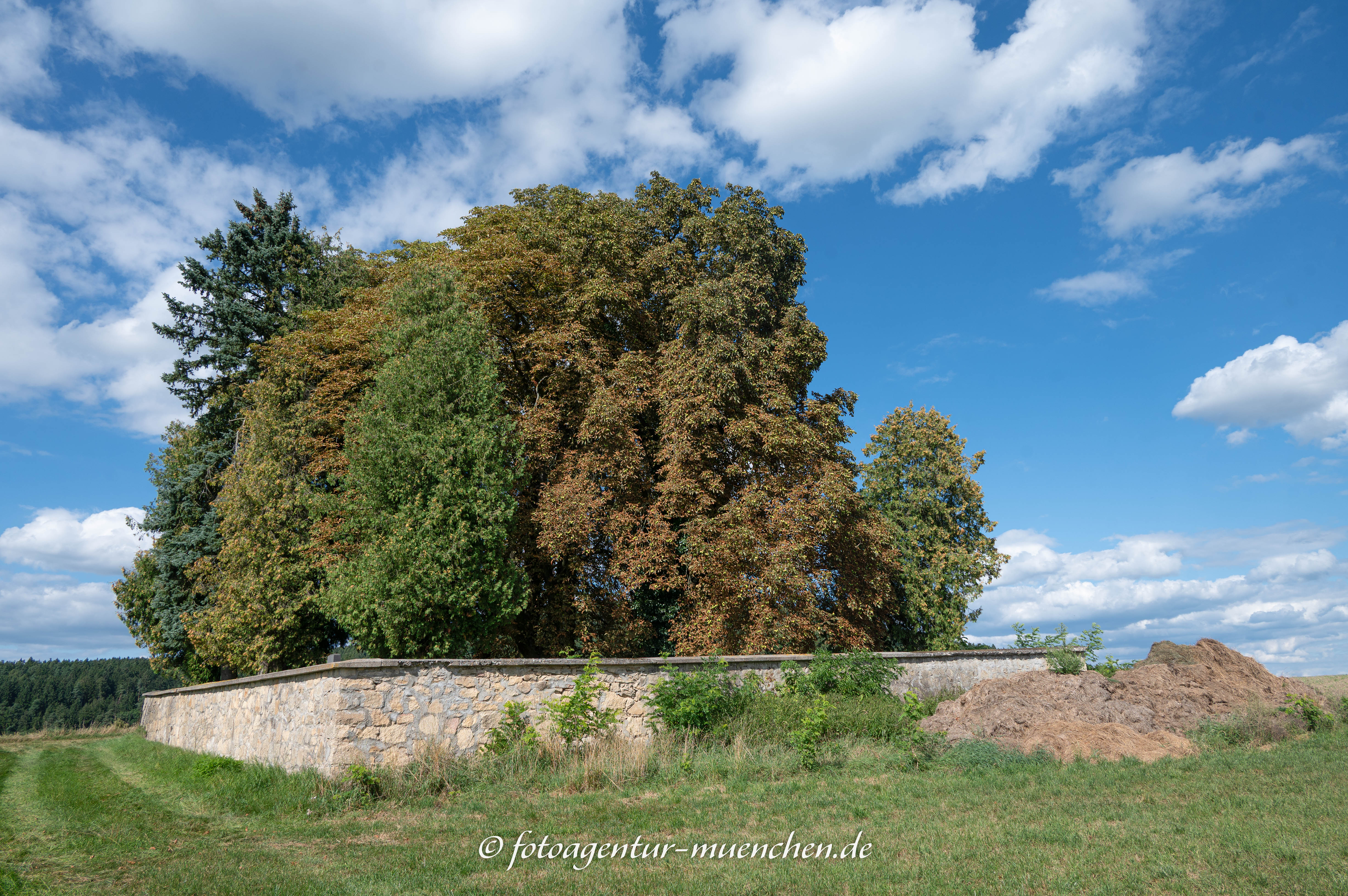 KZ-Grabstätten auf dem Jüdischen Friedhof Cham
