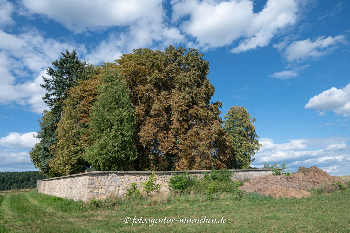 KZ-Grabstätten auf dem Jüdischen Friedhof Cham