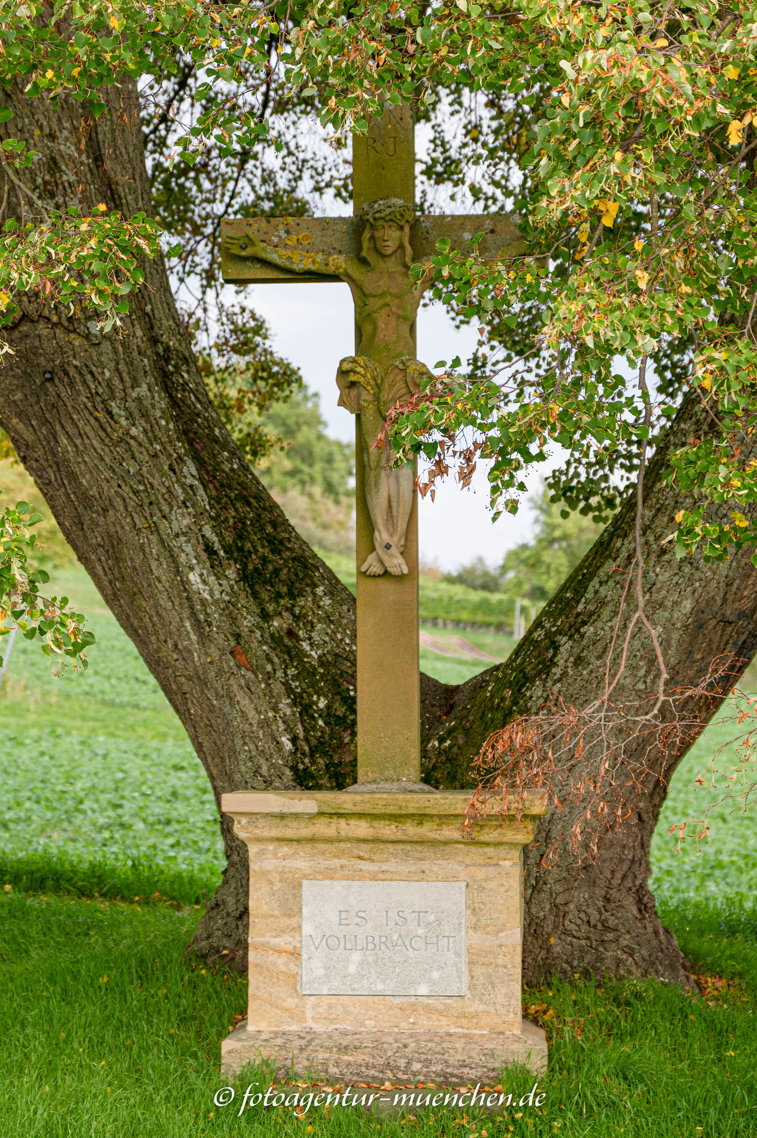 Linde mit Kreuz