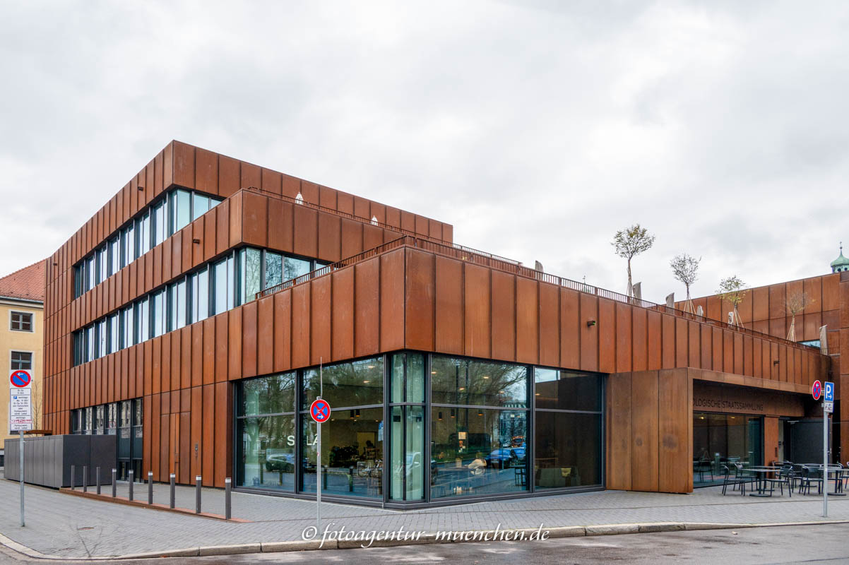 Archäologische Staatssammlung München