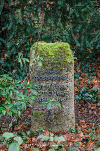  - Grab - Peter Mosbacher